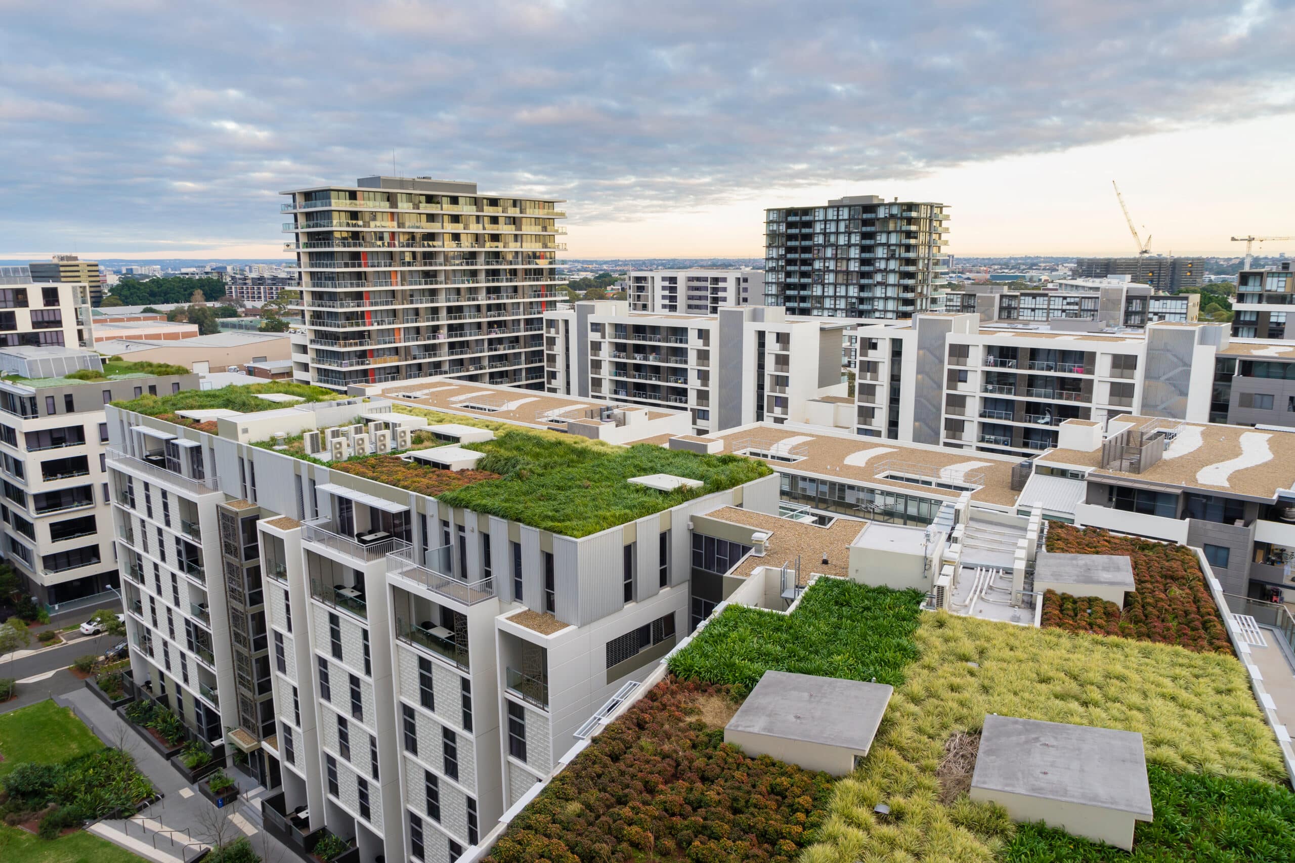 Several buildings with green roofs. 